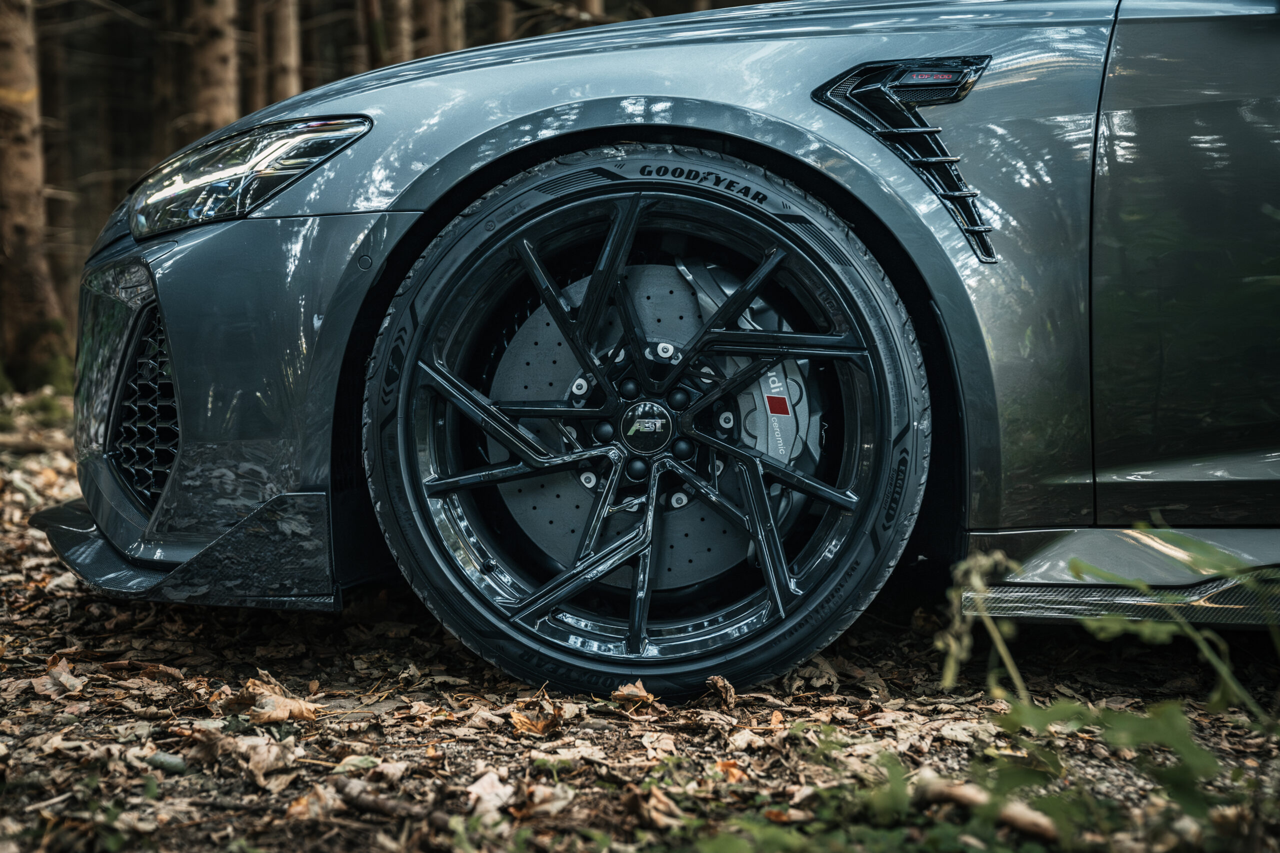 RS6_LE_Daytonagrau-22